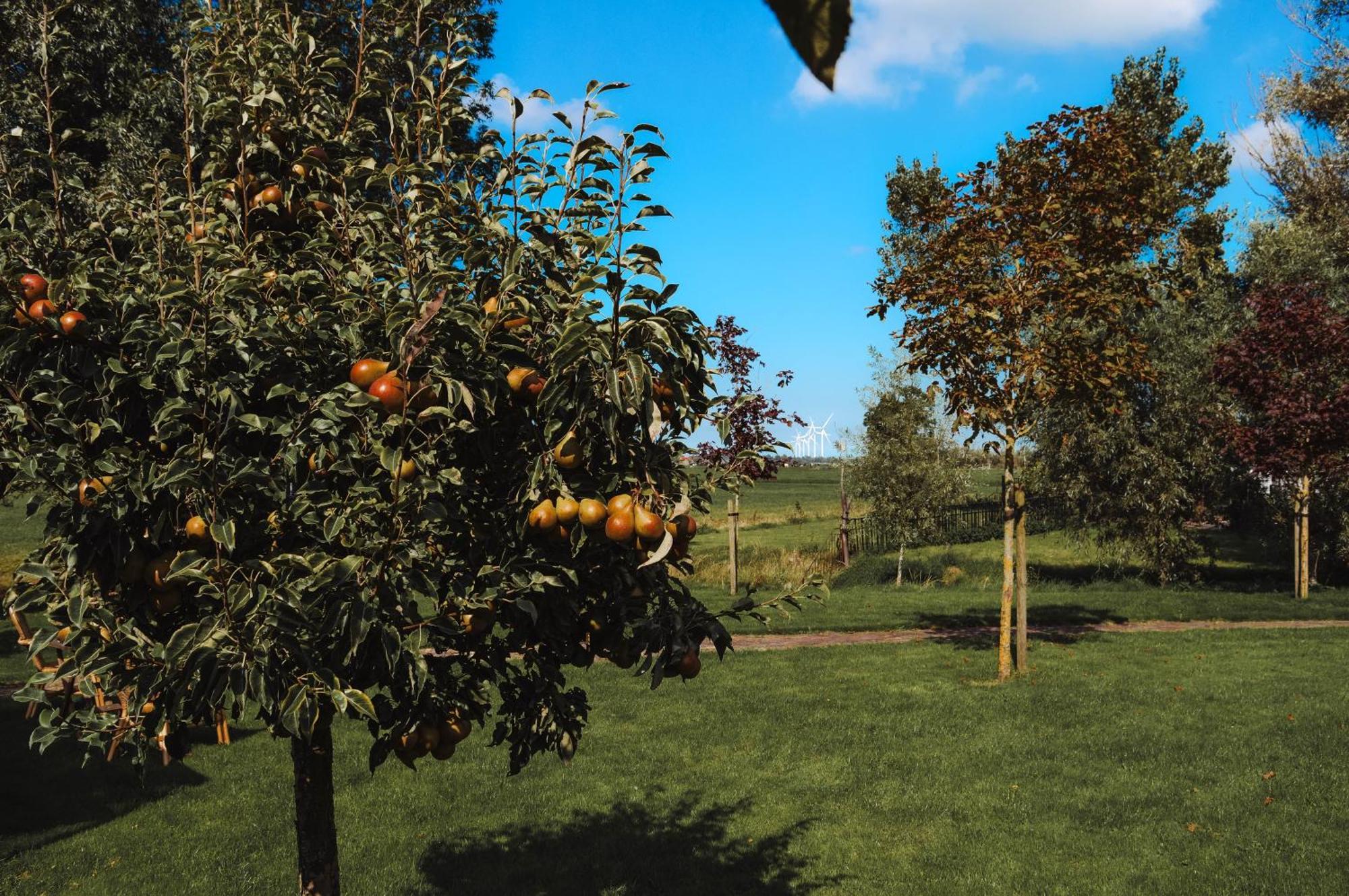 B&B Landelijke Rust Lutjewinkel Buitenkant foto