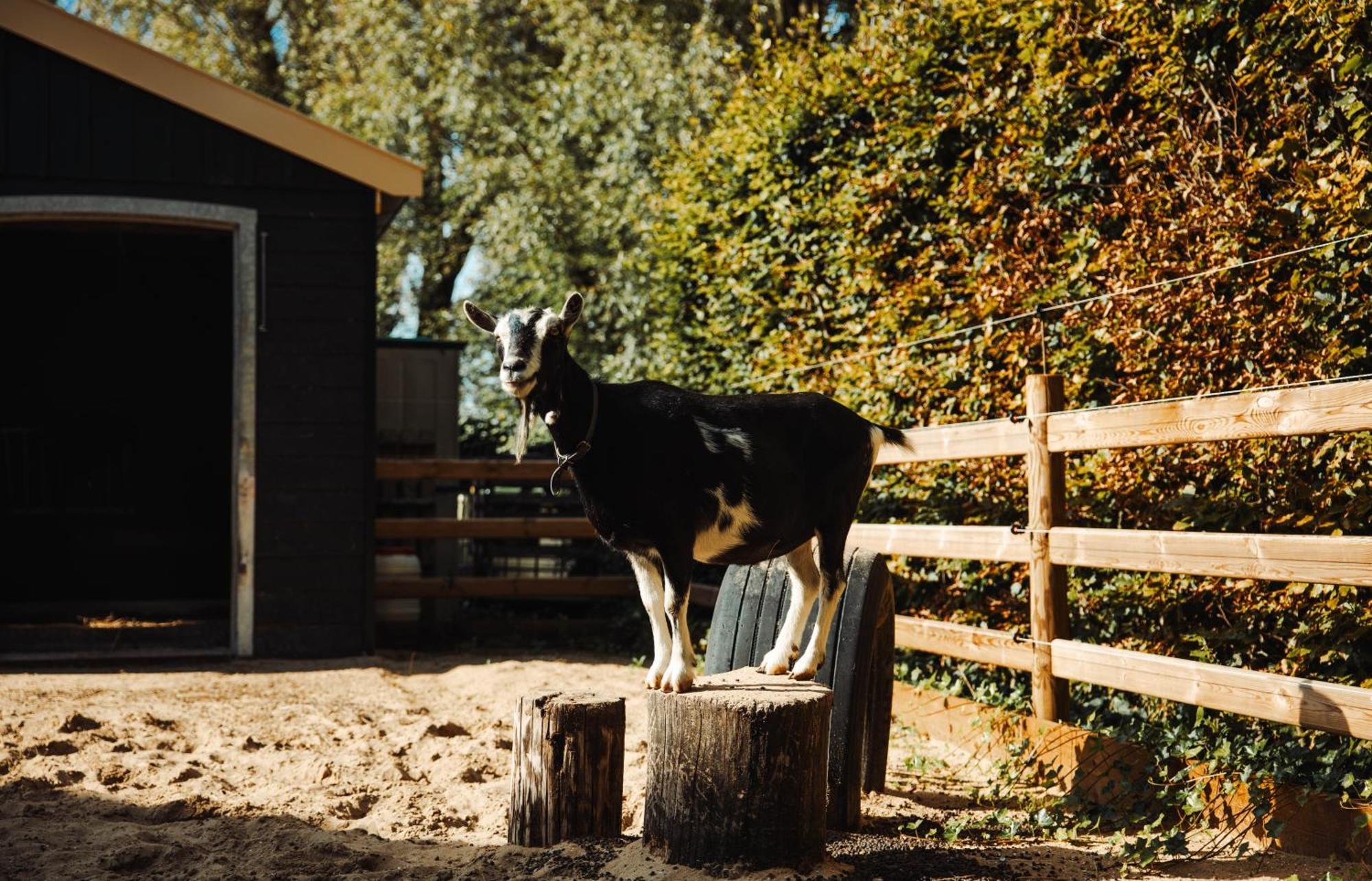 B&B Landelijke Rust Lutjewinkel Buitenkant foto